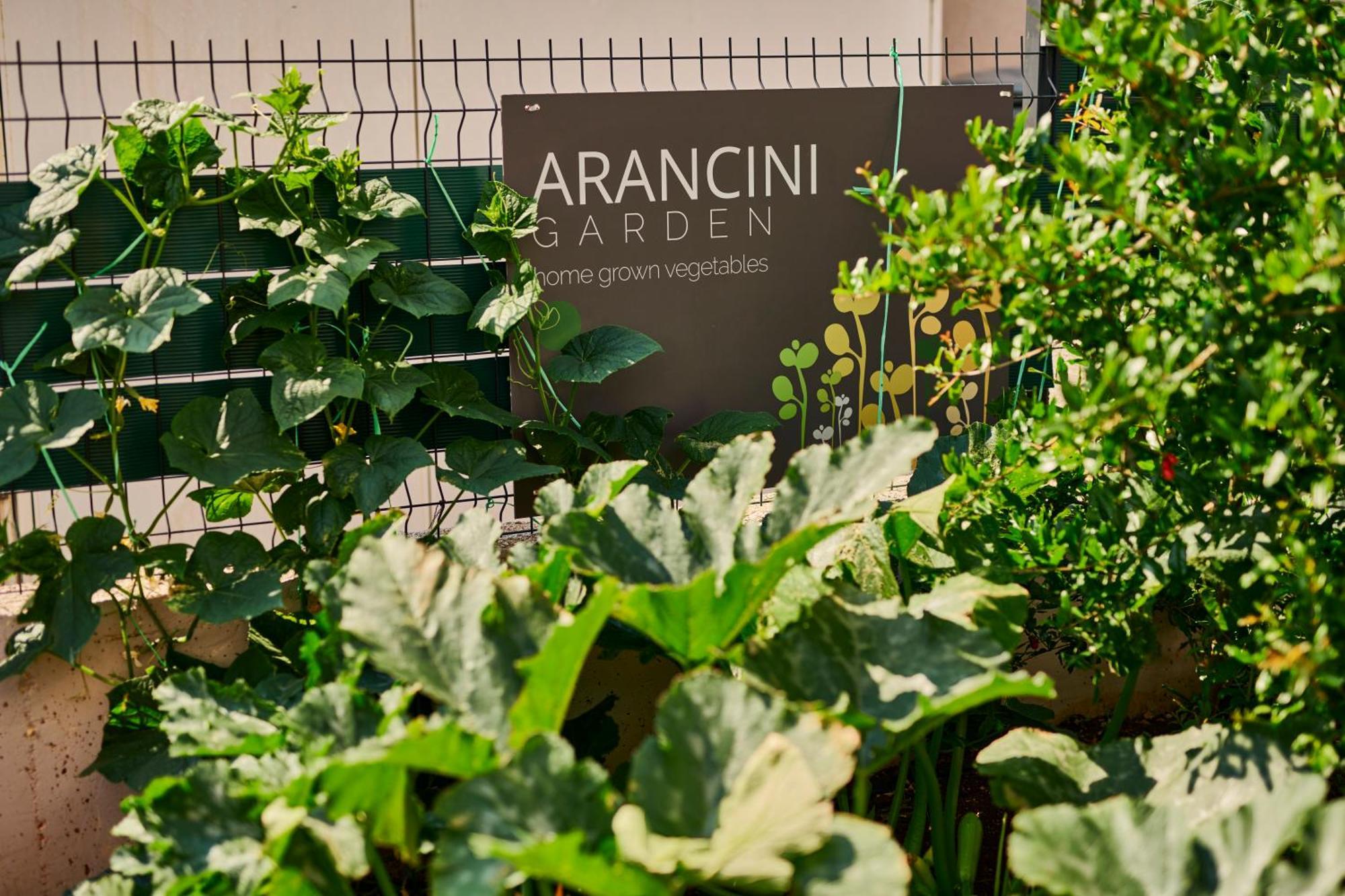 Arancini Residence 沃迪切 外观 照片